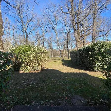 Apartamento Du Duplex 1 Chambre, 5 Personnes, 33m2